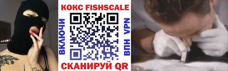 где можно купить наркотик  мега маркетплейс  КОКАИН Fish Scale  Кудымкар 